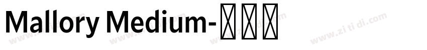 Mallory Medium字体转换